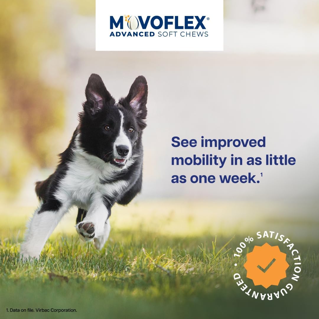 MOVOFLEX Advanced Soft Chews for Medium Dogs, 60 Count