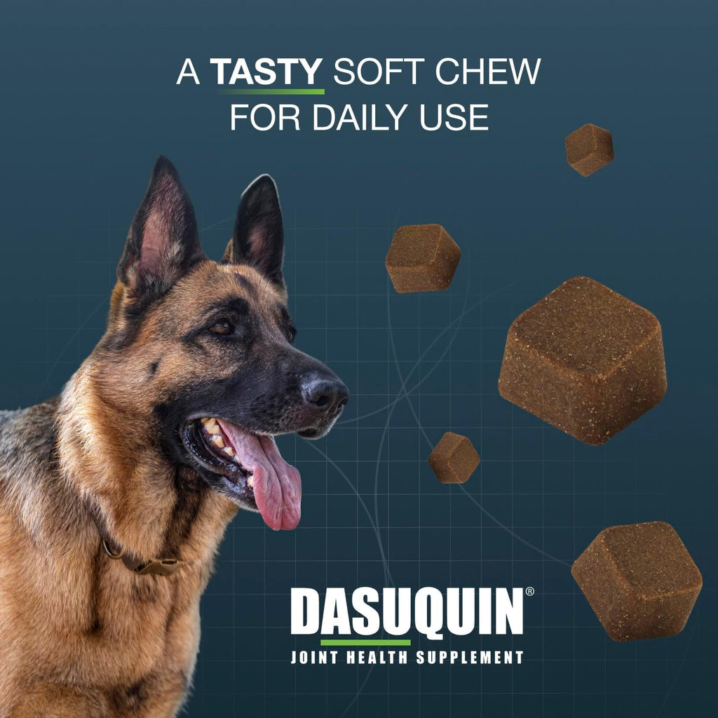 Nutramax Dasuquin Joint Supplement for Large Dogs, Soft Chews, 84ct