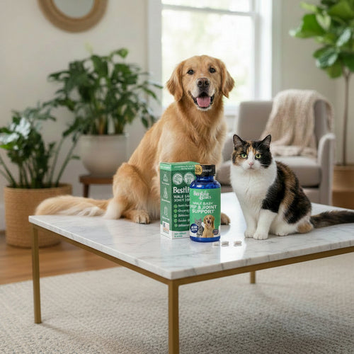 BestLife4Pets Walk-Easy Pain & Mobility Support – Cat & Dog, 400 Pills